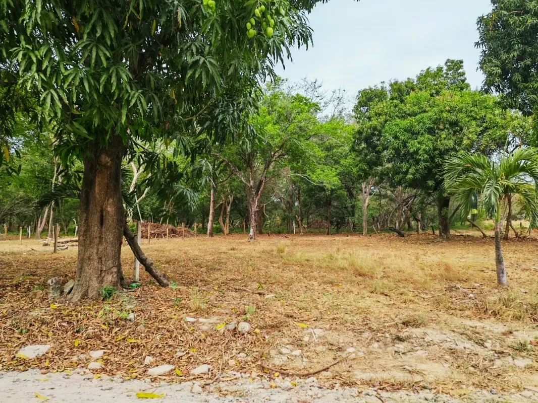 Lote en venta en Barrio Cambalache, Liberia – 351 m²