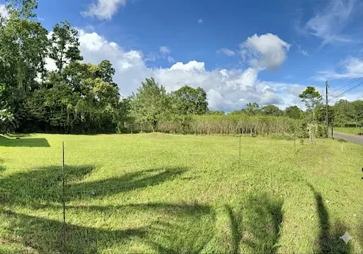 Lote en La Fortuna de San Carlos