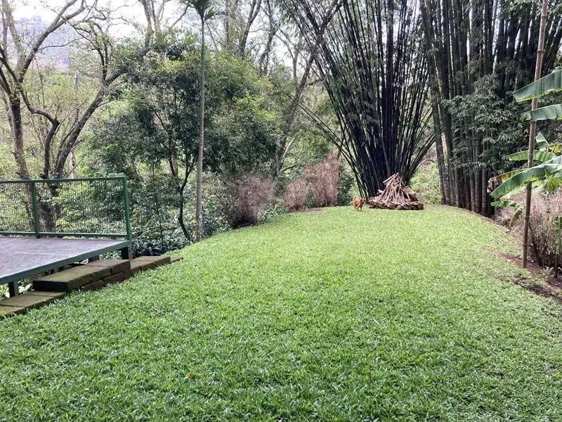 Naranjo Recreation and Leisure Estate: 750 native trees were reforested.