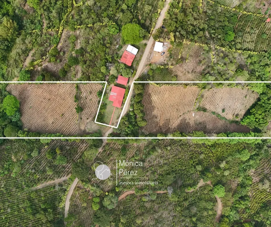 FINCA EN VENTA - SARCHÍ -SAN PEDRO
