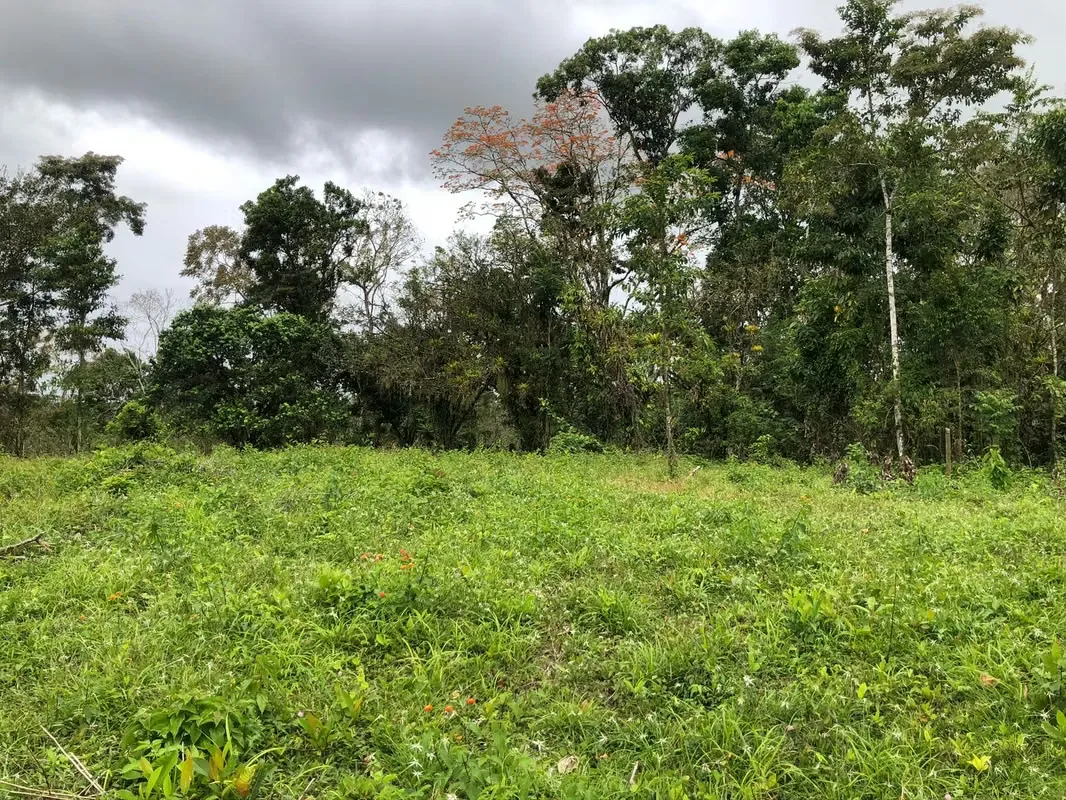 Finca en Venta 8 Hectáreas en San Carlos – Acceso al Río – Ideal Ganadería o Ecoturismo