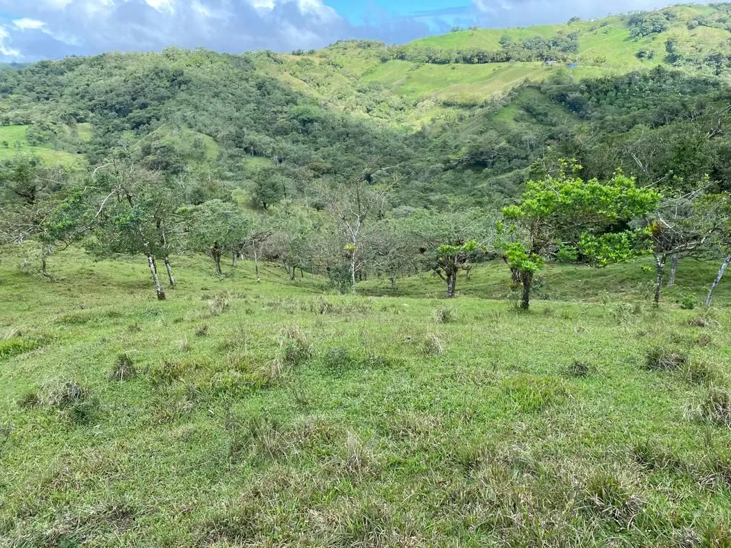 Con frente a calle pública esta hermosa finca tiene potreros, llanuras y bellas vistas a las montañas de Ángeles de San ...