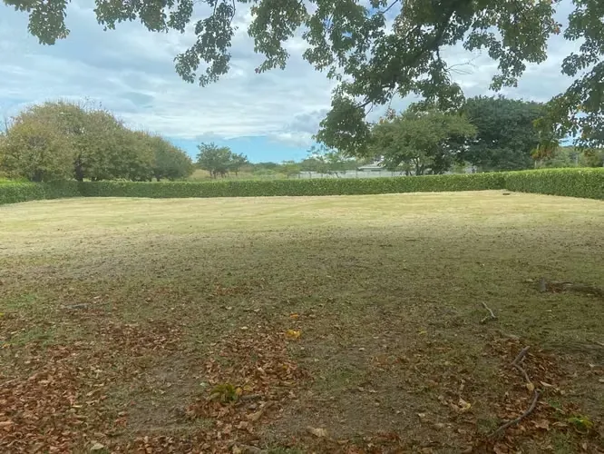Land for sale en Cañas Guanacaste 07