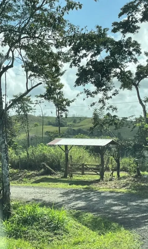 Finca en Volcan Tenorio / Rio Celeste