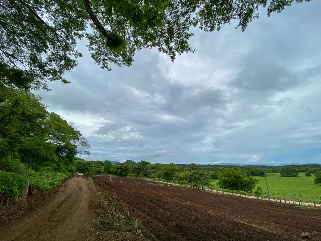 Finca Colorado de Abangares