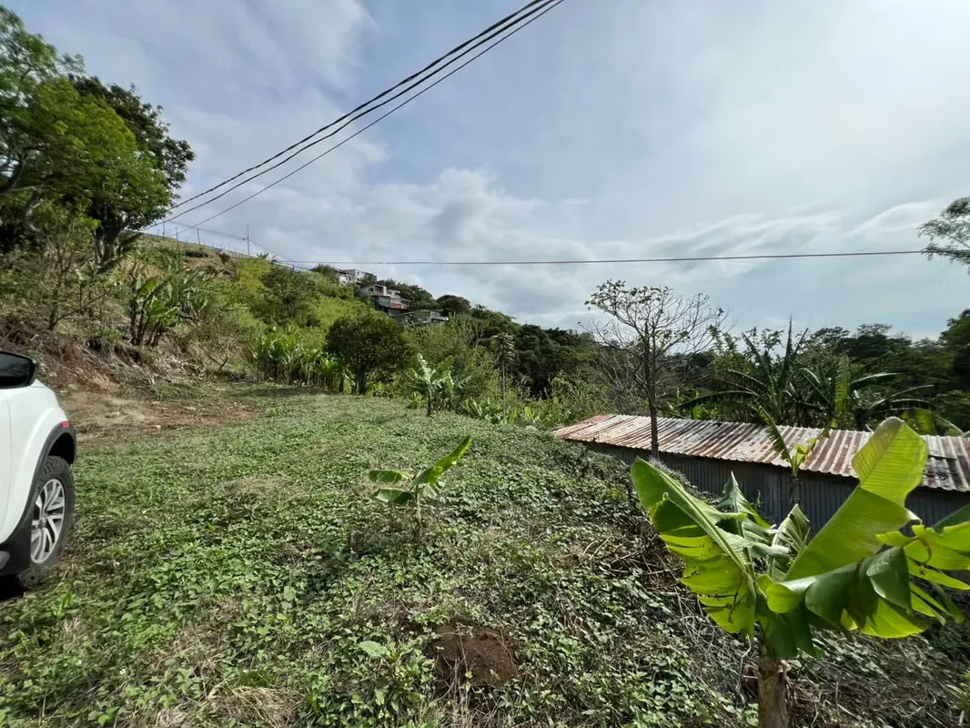 Land zoned for agriculture on Moravia Island with the following characteristics: