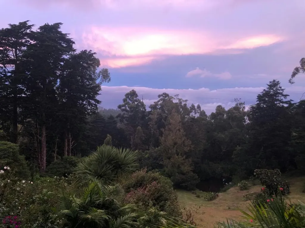 Venta de  Mágica Cabaña en San Jose de la Montaña.
