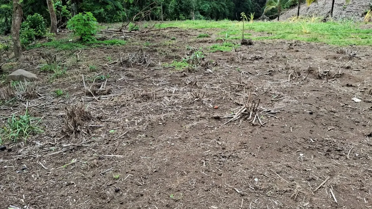 Lot for Sale in Tabarcia de Mora