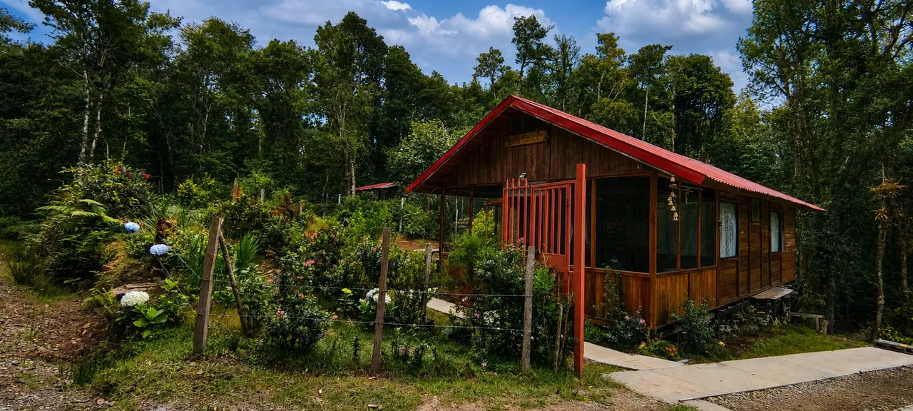 Cabin for sale in San Isidro de El Guarco - Nubous and natural forest -4