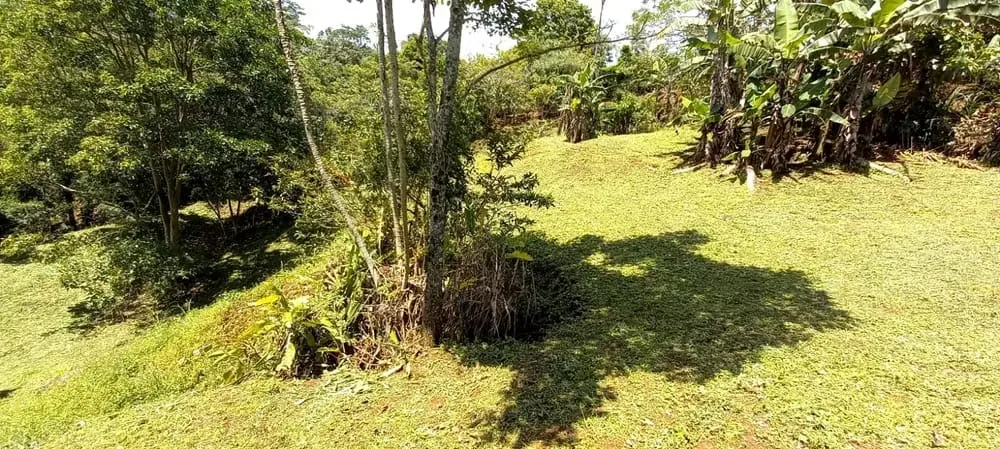 VENDO LOTE EN SANTIAGO DE PURISCAL.
