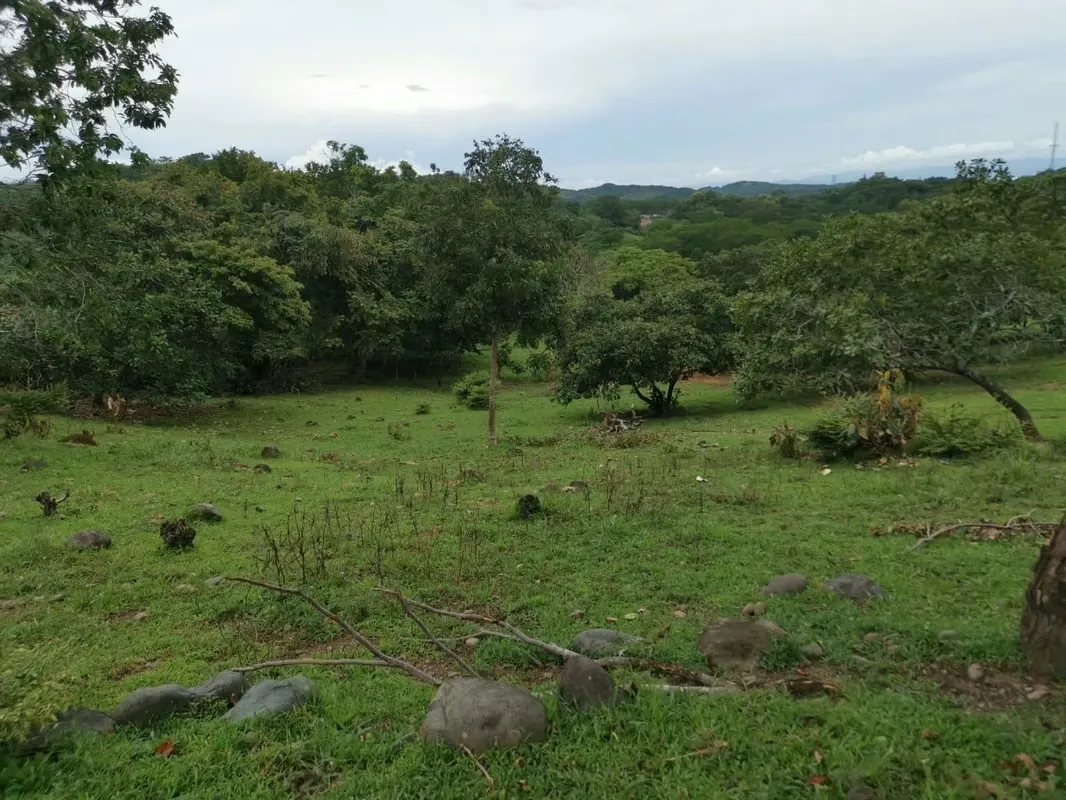Venta de Finca en Esparza a solo 5 minutos del Centro.