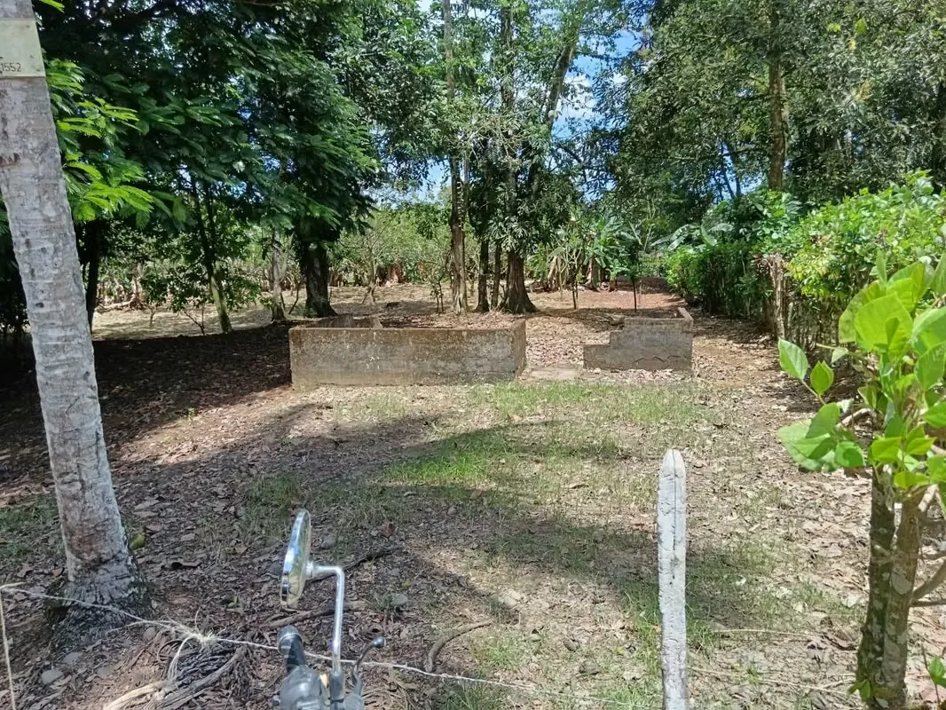 TERRENO EN VENTA EN POCOCI LIMON