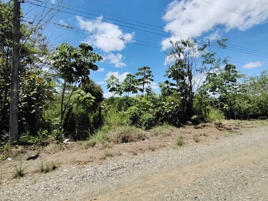 Venta de terreno con uso mixto de 6315 m2 en Buenos Aires, Puntarenas