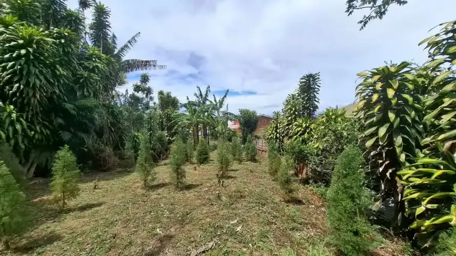 Land for sale in Tres Ríos 18189