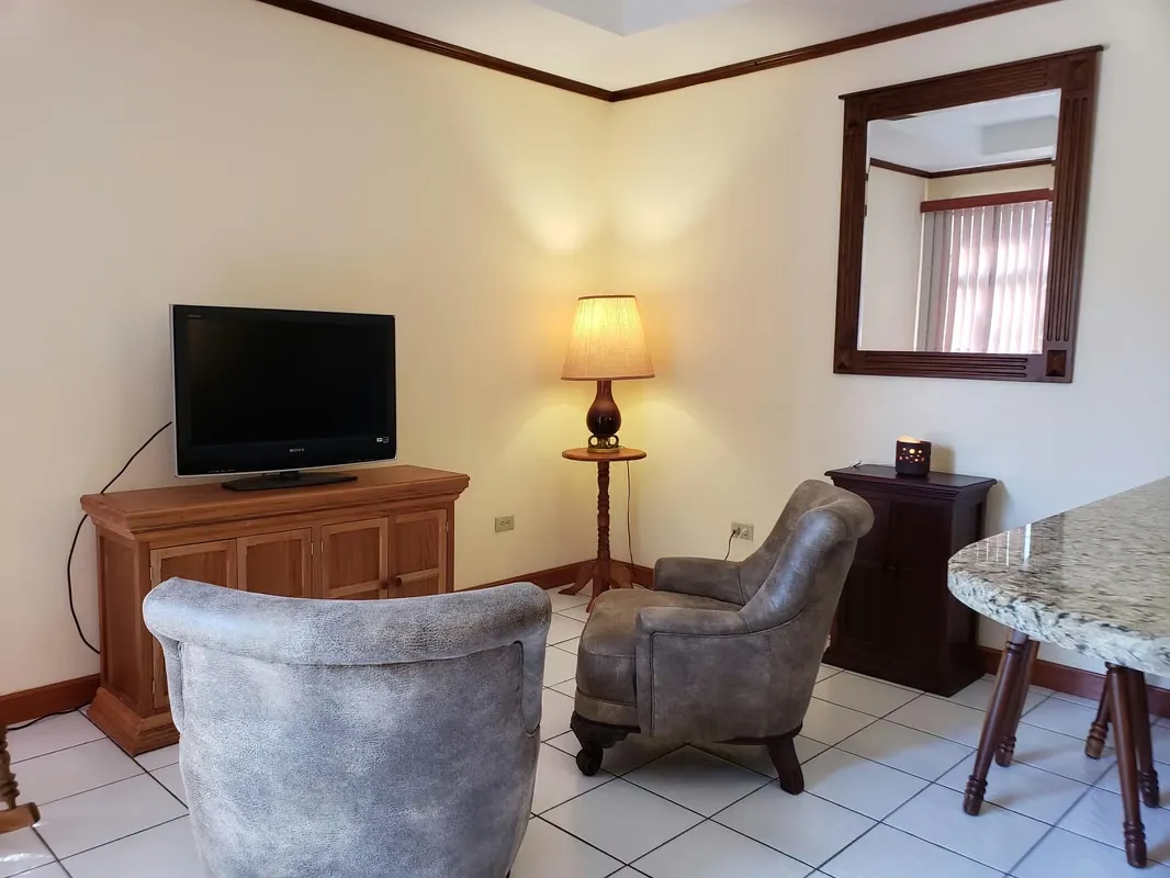 FURNISHED APARTMENT FOR RENT IN SAN PEDRO. 22-045