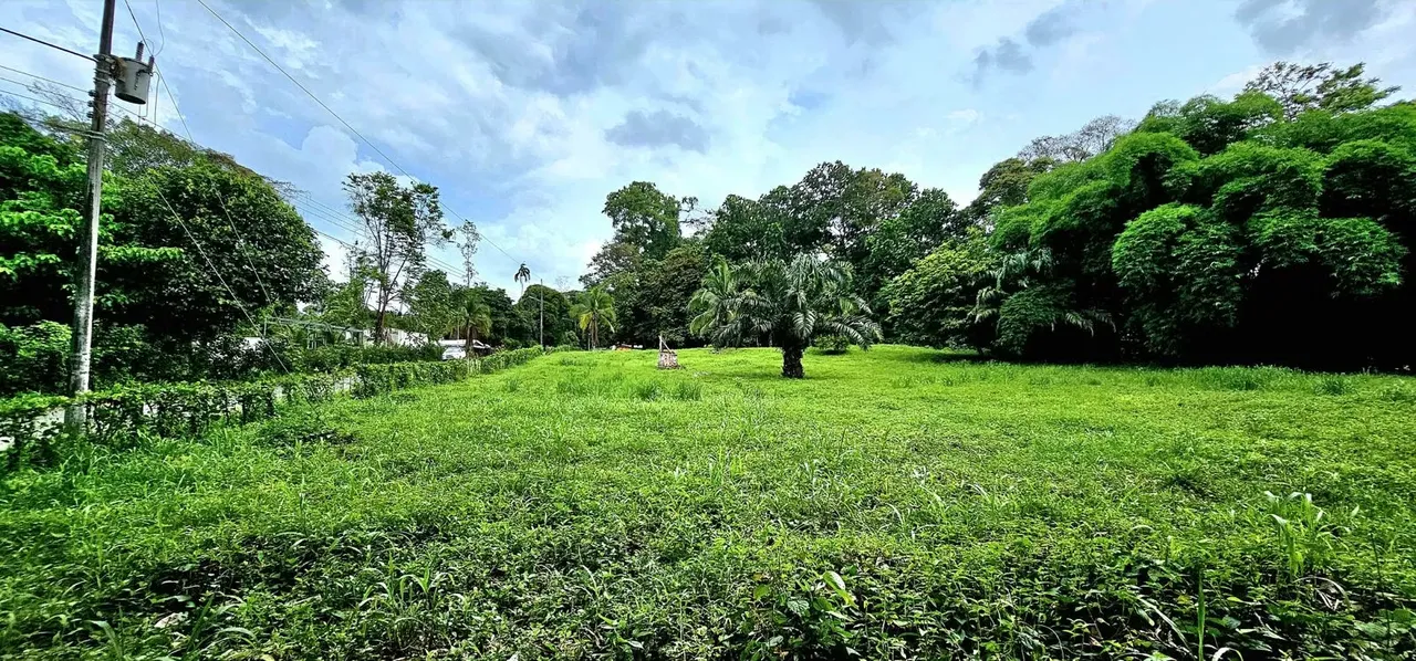 Lot for sale in Siquirres 16,245m2