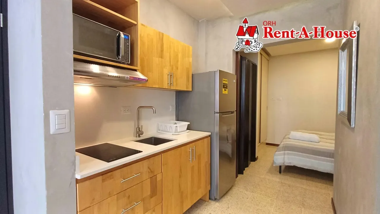 1-Bedroom Apartment for Rent in Otoya, San José