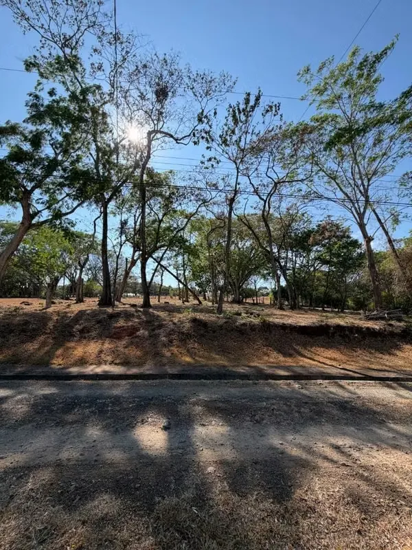 Lote de 2.507 m² en Condominio Quintas El Maderal, San Mateo