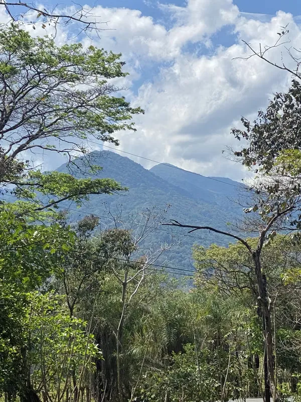 Lote Turrubares 1.405 m2
