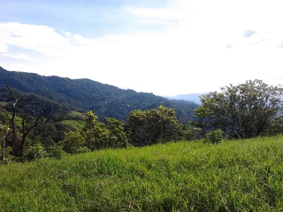 LAND FOR SALE IN CARRIZAL. 36-286-76