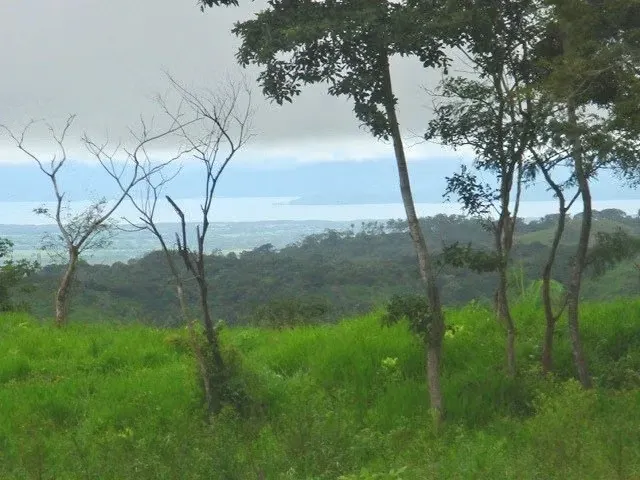 LAND FOR SALE IN PUNTARENAS. 36-286-77