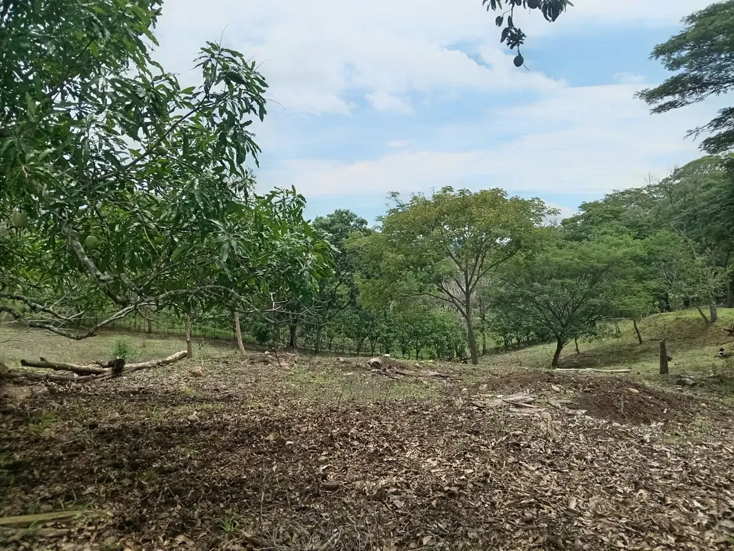 FARM FOR SALE IN CHOMES, PUNTARENAS