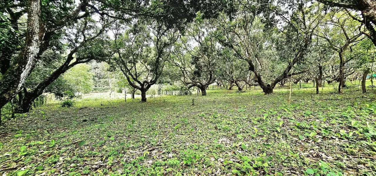 Lot for sale in Orotina READY TO BUILD