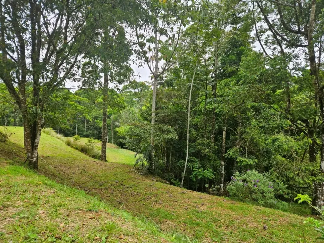 Lote de 881 m² en La Tesalia | Con Río | A 10 min de Ciudad Quesada