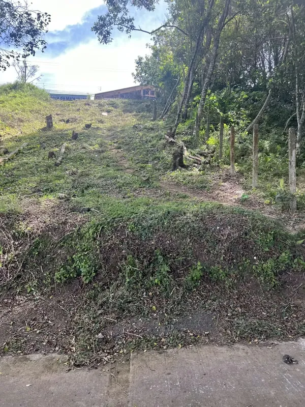 Bosques de Catalán Gran Oportunidad