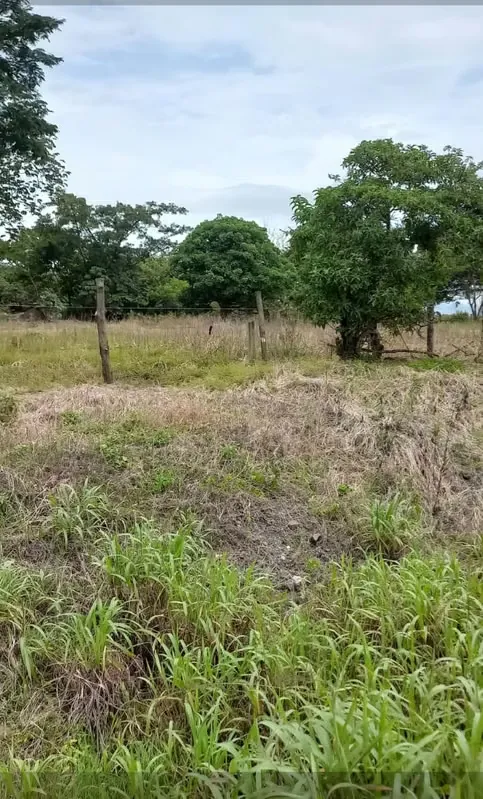 INDUSTRIAL LAND FOR SALE IN OROTINA, ALAJUELA