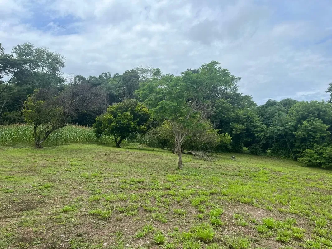 Venta de Hermosa Quinta en La Ceiba de Orotina